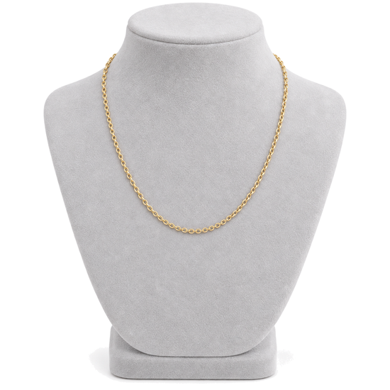9ct gold round belcher chain worn on a bust form