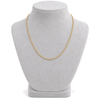 9ct gold round belcher chain worn on a bust form