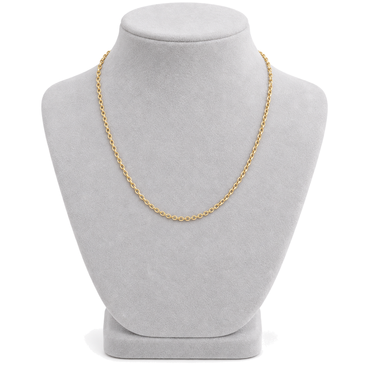9ct gold round belcher chain worn on a bust form