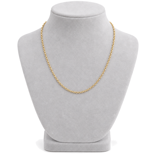 9ct gold round belcher chain worn on a bust form